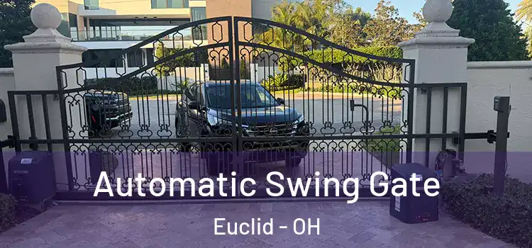  Automatic Swing Gate Euclid - OH