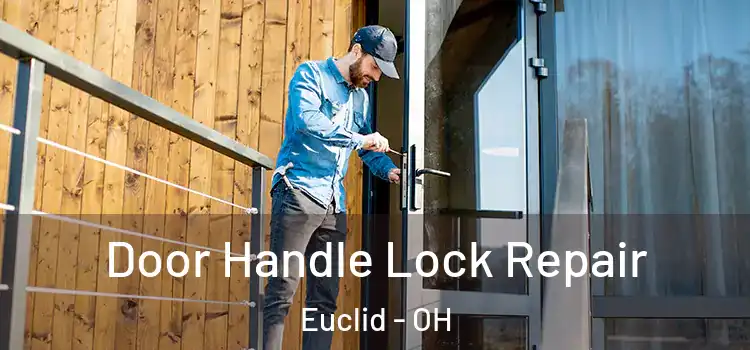  Door Handle Lock Repair Euclid - OH