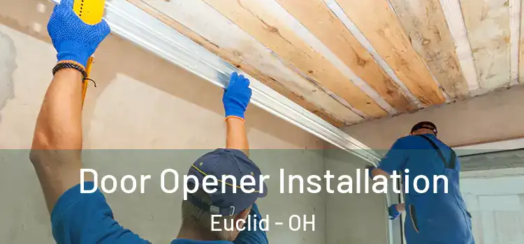  Door Opener Installation Euclid - OH
