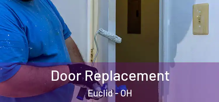  Door Replacement Euclid - OH