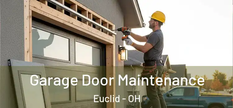  Garage Door Maintenance Euclid - OH