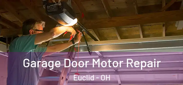  Garage Door Motor Repair Euclid - OH