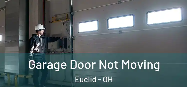  Garage Door Not Moving Euclid - OH