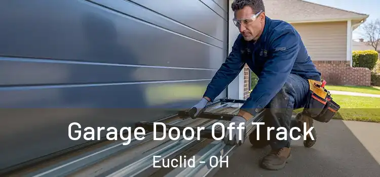  Garage Door Off Track Euclid - OH