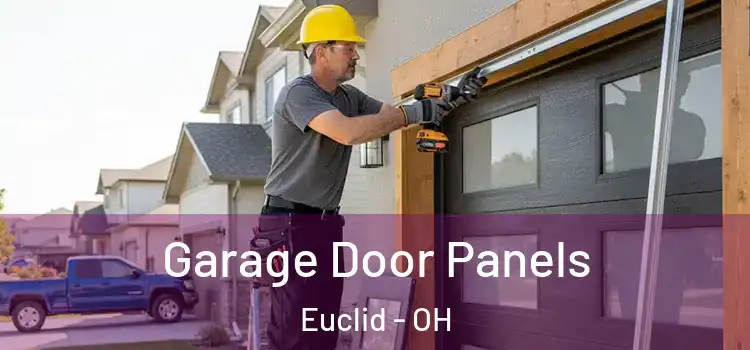  Garage Door Panels Euclid - OH