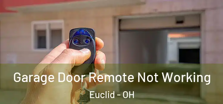  Garage Door Remote Not Working Euclid - OH