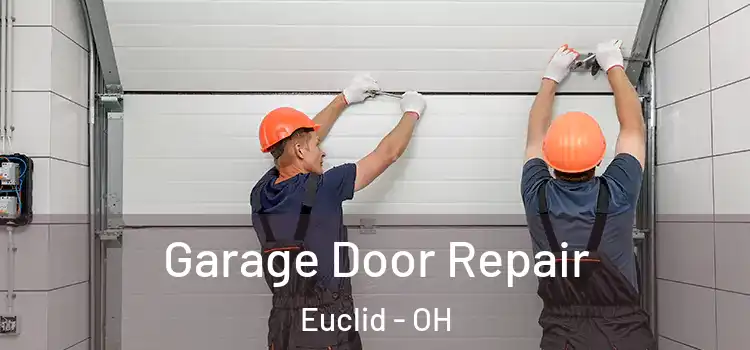  Garage Door Repair Euclid - OH