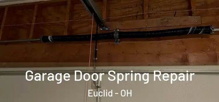  Garage Door Spring Repair Euclid - OH