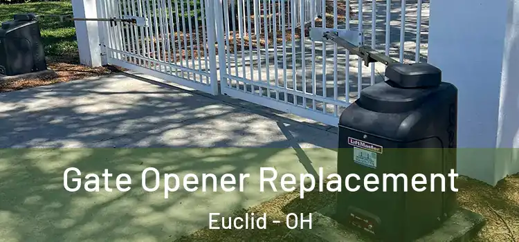 Gate Opener Replacement Euclid - OH
