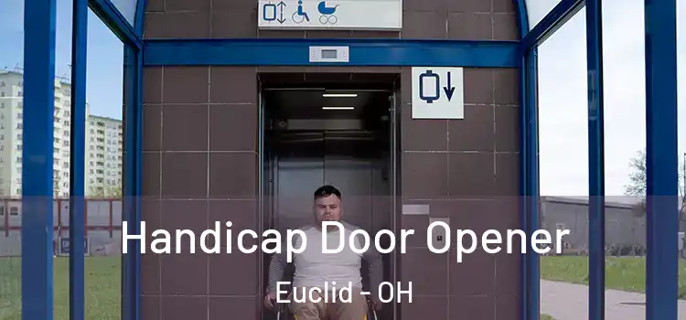 Handicap Door Opener Euclid - OH