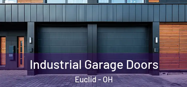 Industrial Garage Doors Euclid - OH