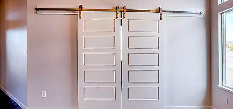 Glass Barn Door with Installation Hardware Kit Euclid