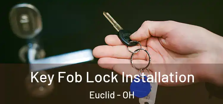  Key Fob Lock Installation Euclid - OH