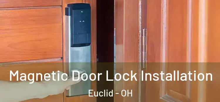  Magnetic Door Lock Installation Euclid - OH
