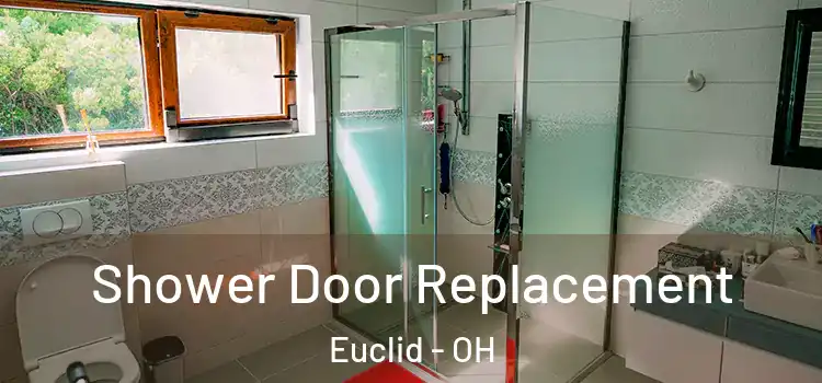  Shower Door Replacement Euclid - OH