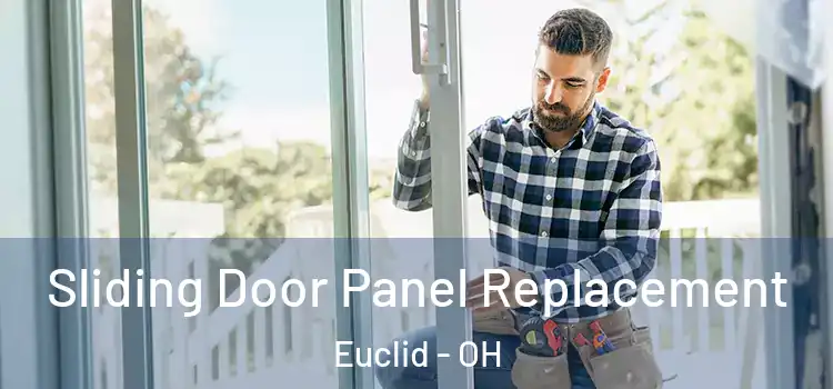  Sliding Door Panel Replacement Euclid - OH