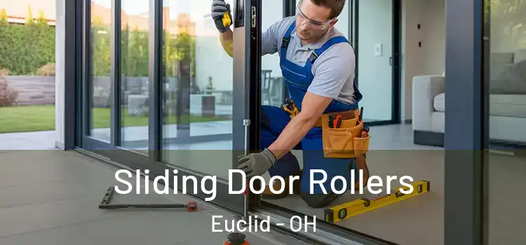  Sliding Door Rollers Euclid - OH