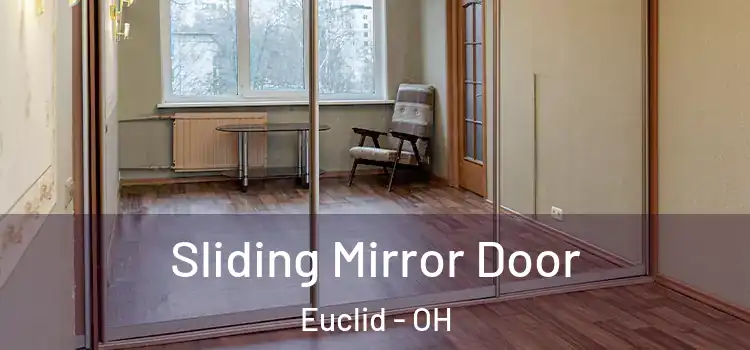  Sliding Mirror Door Euclid - OH