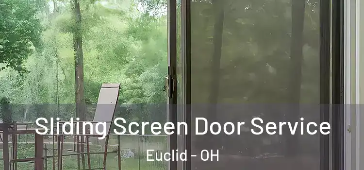 Sliding Screen Door Service Euclid - OH