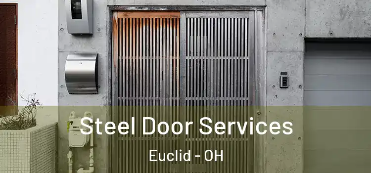 Steel Door Services Euclid - OH